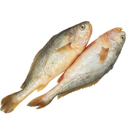 Check weigher verifying frozen fish packs before cartoning